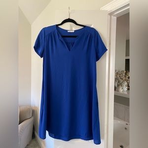 Lush Blue Dress